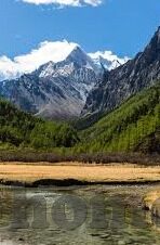 世界杯伊朗全家福-伊朗世界杯全家福，足球与家庭的温暖交织